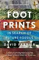 Footprints (Farrier David)(Paperback / softback)
