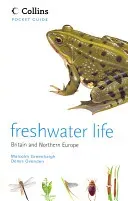 Freshwater Life (Greenhalgh Malcolm)(Paperback / softback)