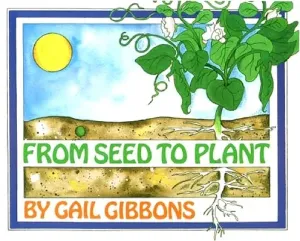 From Seed to Plant (Gibbons Gail)(Paperback)