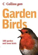 Garden Birds (Moss Stephen)(Paperback / softback)