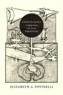 Geontologies: A Requiem to Late Liberalism (Povinelli Elizabeth a.)(Paperback)