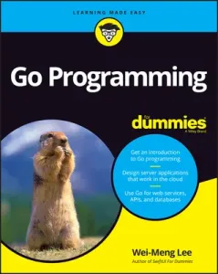Go Programming Language for Dummies (Lee Wei-Meng)(Paperback)