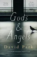 Gods and Angels (Park David)(Paperback / softback)