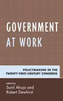 Government at Work: Policymaking in the Twenty-First-Century Congress (Ahuja Sunil)(Pevná vazba)
