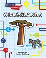Grasslands (Spilsbury Louise)(Paperback / softback)