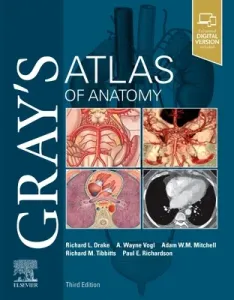 Gray's Atlas of Anatomy (Drake Richard)(Paperback)
