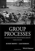 Group Processes: Dynamics Within and Between Groups (Brown Rupert)(Paperback)