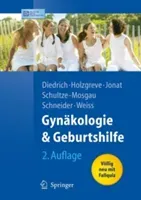 Gynkologie Und Geburtshilfe (Diedrich Klaus)(Paperback)
