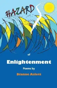 Hazards Of Enlightenment (Aslett Dianne)(Paperback)