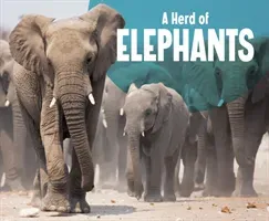 Herd of Elephants (Kortuem Amy)(Pevná vazba)