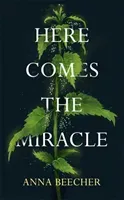 Here Comes the Miracle (Beecher Anna)(Paperback)