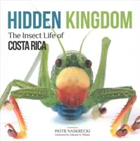 Hidden Kingdom: The Insect Life of Costa Rica (Naskrecki Piotr)(Paperback)