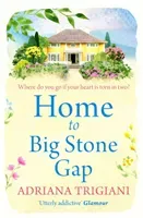 Home to Big Stone Gap (Trigiani Adriana)(Paperback / softback)