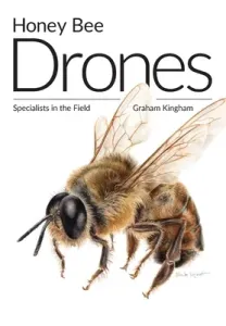 Honey Bee Drones: Specialists in the Field (Kingham Graham)(Paperback)