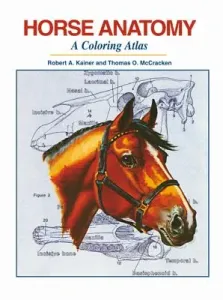 Horse Anatomy: A Coloring Atlas (Kainer Robert A.)(Spiral)