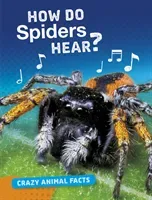How Do Spiders Hear? (Furstinger Nancy)(Paperback / softback)