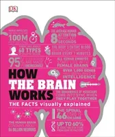 How the Brain Works - The Facts Visually Explained (DK)(Pevná vazba)