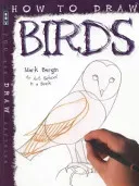 How To Draw Birds (Bergin Mark)(Paperback / softback)