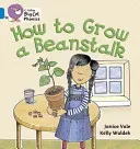 How to Grow a Beanstalk (Vale Janice)(Paperback)