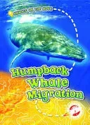 Humpback Whale Migration (Schuetz Kari)(Library Binding)