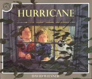 Hurricane (Wiesner David)(Paperback)