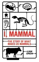 I, Mammal: The Story of What Makes Us Mammals (Drew Liam)(Paperback)