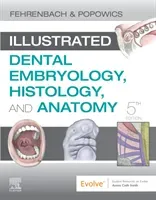 Illustrated Dental Embryology, Histology, and Anatomy (Fehrenbach Margaret J.)(Paperback / softback)