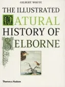 Illustrated Natural History of Selborne (White Gilbert)(Paperback / softback)