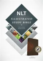 Illustrated Study Bible-NLT (Tyndale)(Imitation Leather) #4208298