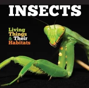 Insects (Jones Grace)(Paperback / softback)