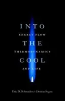 Into the Cool: Energy Flow, Thermodynamics, and Life (Schneider Eric D.)(Paperback)