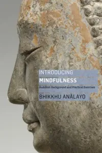 Introducing Mindfulness: Buddhist Background and Practical Exercises (Analayo Bhikkhu)(Paperback)