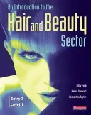 Introduction to Hair and Beauty Sector Student Book - Entry 3 and Level 1 (Ford Gilly)(Paperback / softback)