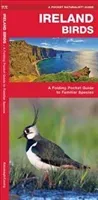 Ireland Birds, 2nd Edition - A Folding Pocket Guide to Familiar Species (Kavanagh James)(Pamphlet)