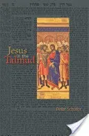 Jesus in the Talmud (Schfer Peter)(Paperback)