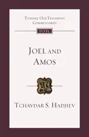 Joel and Amos - An Introduction And Commentary (Hadjiev Dr Tchavdar (Author))(Paperback / softback)