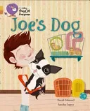Joe's Dog (Almond David)(Paperback)