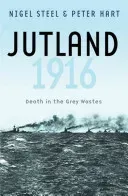 Jutland, 1916: Death in the Grey Wastes (Steer Nigel)(Paperback)