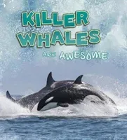 Killer Whales Are Awesome (Jaycox Jaclyn)(Paperback / softback)