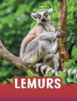 Lemurs (Jaycox Jaclyn)(Paperback / softback)