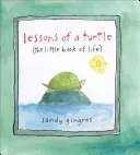 Lessons of a Turtle: (The Little Book of Life) (Gingras Sandy)(Pevná vazba)