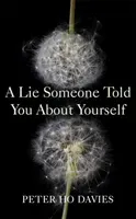 Lie Someone Told You About Yourself (Davies Peter Ho)(Paperback / softback)