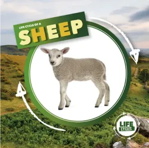 Life Cycle of a Sheep (Holmes Kirsty)(Pevná vazba)