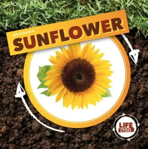 Life Cycle of a Sunflower (Holmes Kirsty)(Pevná vazba)