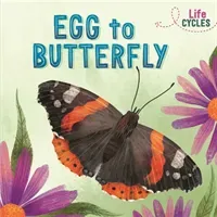 Life Cycles: Egg to Butterfly (Tonkin Rachel)(Paperback / softback)