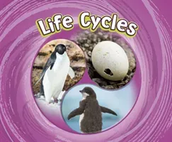 Life Cycles (Jaycox Jaclyn)(Paperback / softback)