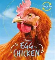 Lifecycles: Egg to Chicken (de la Bedoyere Camilla)(Paperback / softback)
