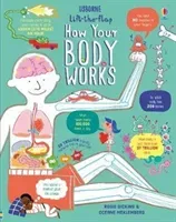 Lift the Flap How Your Body Works (Dickins Rosie)(Board book)