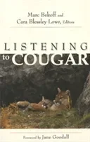 Listening to Cougar (Bekoff Marc)(Paperback)