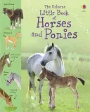 Little Book of Horses and Ponies (Khan Sarah)(Pevná vazba)